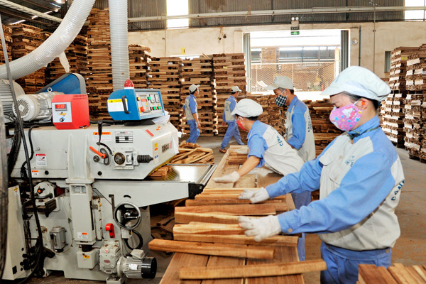 top 10 địa chỉ bán máy bào gỗ công nghiệp tại tphcm giá tốt