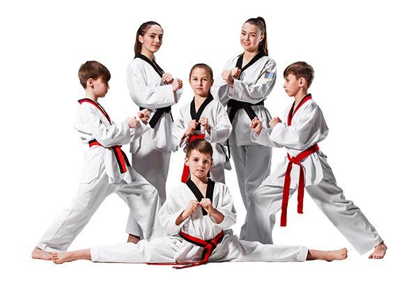 Vận Động Viên Quốc Gia Taekwondo Karate Đá Đấm Trên Nền Trắng Bị Cô Lập Hình  ảnh Sẵn có - Tải xuống Hình ảnh Ngay bây giờ - iStock