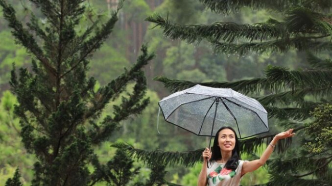 Where to travel in the rainy season is both beautiful and chill? 
