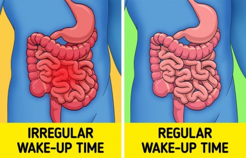 8 lợi ích bất ngờ đối với cơ thể khi bạn thức dậy đúng giờ mỗi ngày