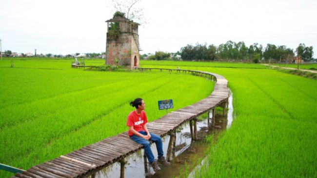 journey through vietnam, the journey to find green on the way through vietnam