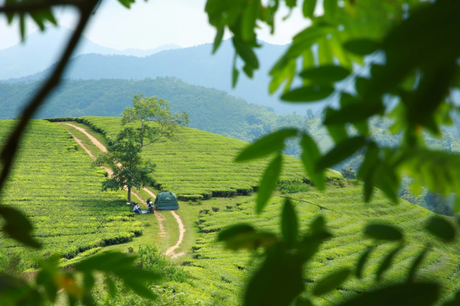 journey through vietnam, the journey to find green on the way through vietnam