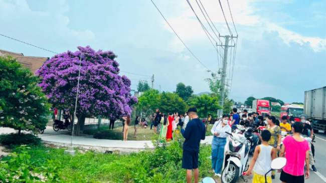 The mausoleum tree attracts visitors in Binh Thuan