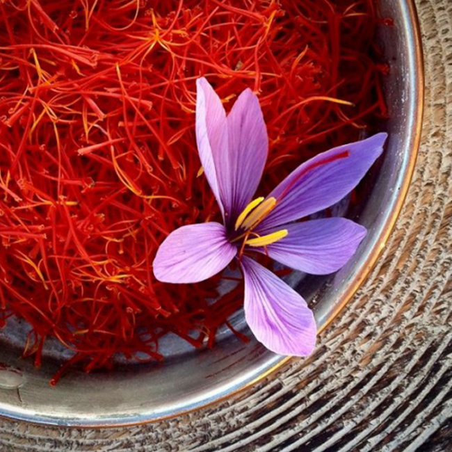 saffron, nhụy hoa nghệ tây, cachs ử dụng nhụy hoa nghệ tây, cách uống saffron, bảo vệ sức khỏe, cách sử dụng nhụy hoa nghệ tây cho hiệu quả tốt nhất