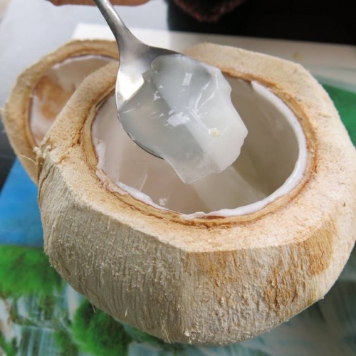 10 Món ăn vặt từ dừa được yêu thích nhất tại Hà Nội