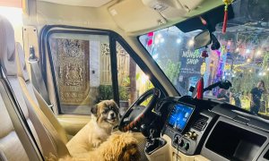 trailer, travel through vietnam, bringing pets across vietnam by mobile home