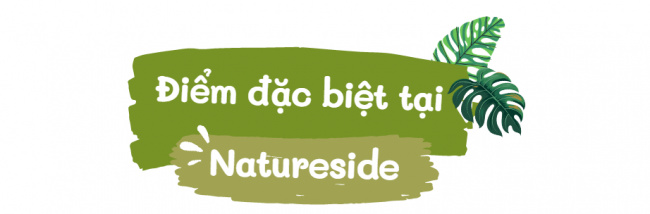 natureside đà lạt - quán cafe có bức tường cây xanh khổng lồ, [natureside đà lạt] quán cafe – bbq rừng nhiệt đới có 102 tại đà lạt, [natureside đà lạt] quán cafe – bbq rừng nhiệt đới có 102 tại đà lạt