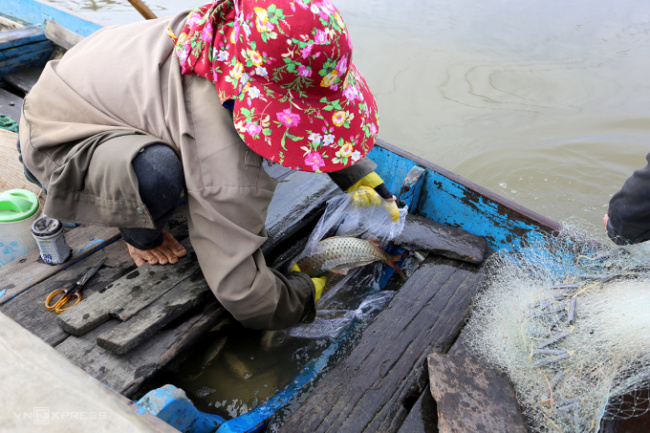 catch fish, fisherman, fishing, quang nam, tam ky, fishing on the ban thach river