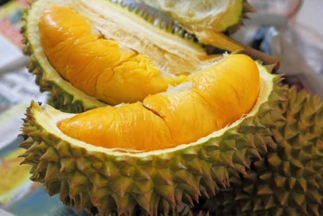 seven thao durian garden, travel time, western specialties, western travel, what month is the durian season? delicious durian gardens in the west forgot the way back