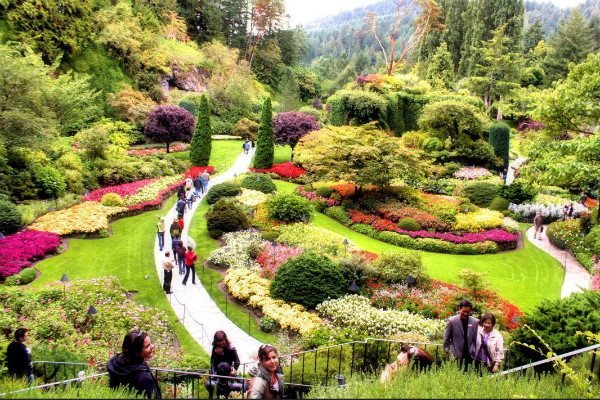 chiêm ngưỡng vẻ đẹp vườn bách thảo đẹp nhất thế giới montreal - canada