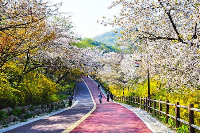 ngắm nhìn vẻ đẹp của trái tim thủ đô seoul - công viên namsan