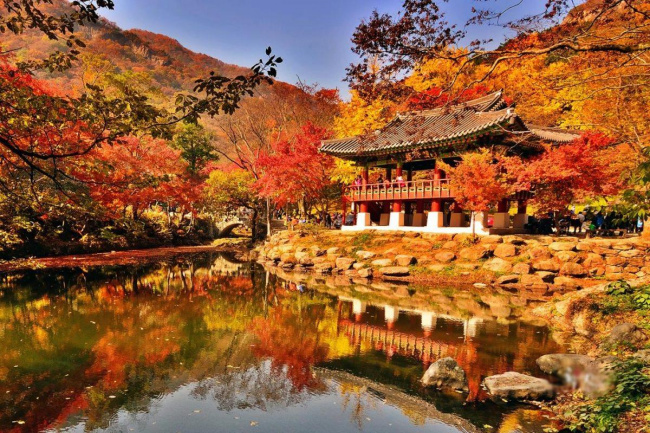 top 10 địa điểm bạn nên ghé khi du lịch seoul