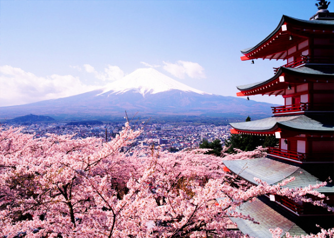 Mùa Xuân Nhật Bản có gì hấp dẫn khách du lịch