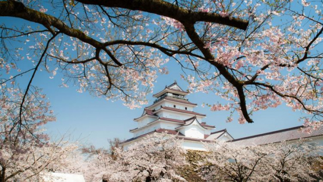 Kyoto - Thành phố cổ tích của những mùa hoa anh đào