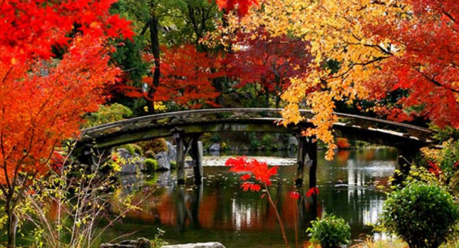 Khám phá trọn vẹn nét đẹp Nhật Bản vào thu