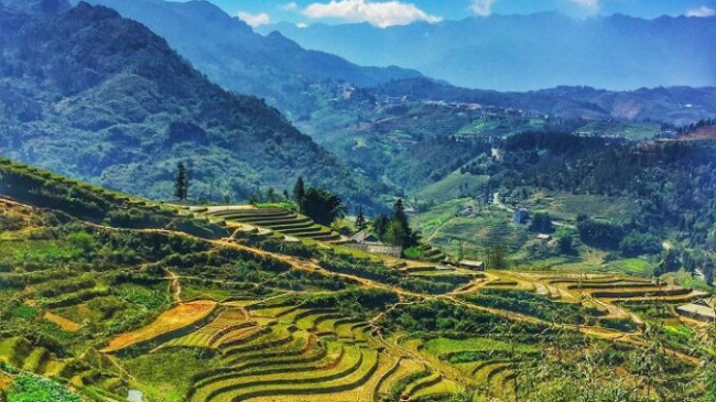 Is the Sau Chua village the muse of Sapa, but why is it so beautiful and captivating! 