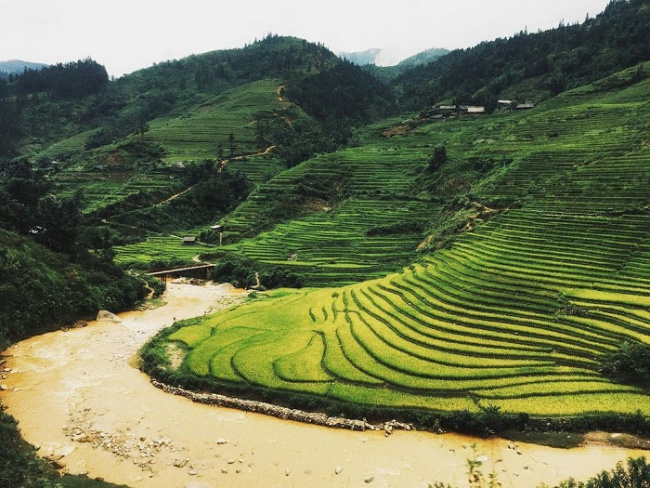 beautiful village, sour version, tourist attractions in lao cai, tourist places in sapa, is the sau chua village the muse of sapa, but why is it so beautiful and captivating! 