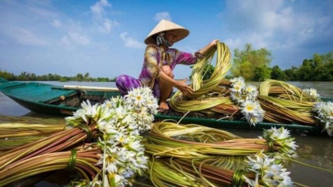 What is the best season to travel to Ca Mau? The ideal time to travel to Ca Mau