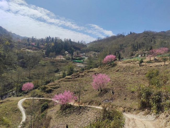 beautiful village, quan ba, tourist places in ha giang, these are beautiful communes in quan ba ​​district, the scenery is so beautiful, you can’t wait to leave 
