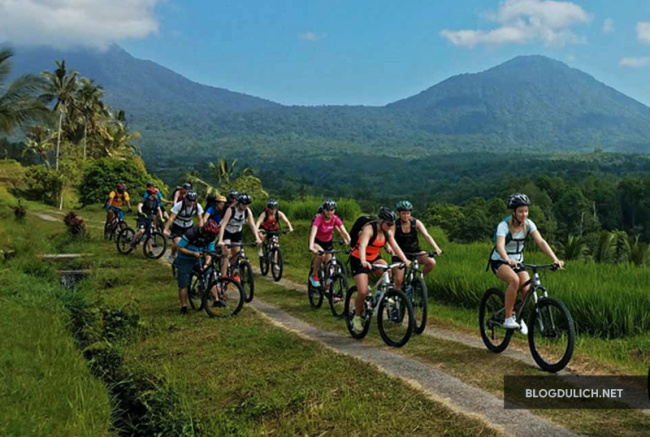 indonesia, những điều cần lưu ý khi thuê xe đạp ở bali, indonesia