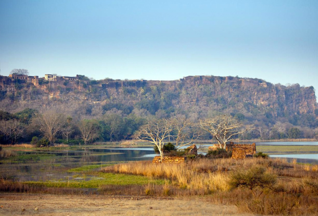 Kinh nghiệm safari – tham quan công viên quốc gia Ranthambore