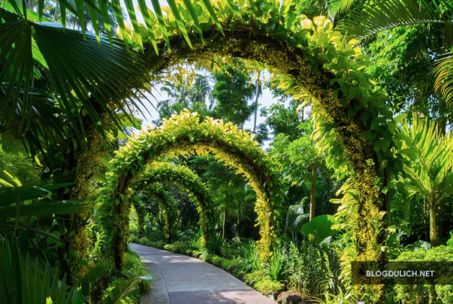 singapore, đi mrt mệt nghỉ đến botanic garden – du lịch singapore