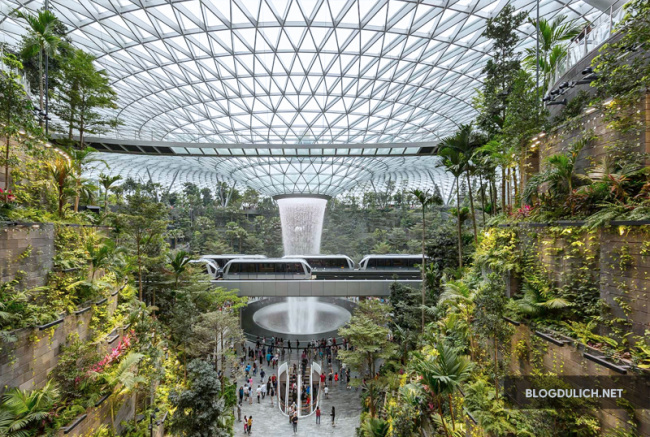 singapore, 8 lý do khiến sân bay changi là điểm ưa thích của khách du lịch singapore