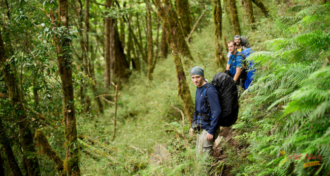 vườn quốc gia phú quốc- hướng dẫn tham quan & trekking siêu đỉnh