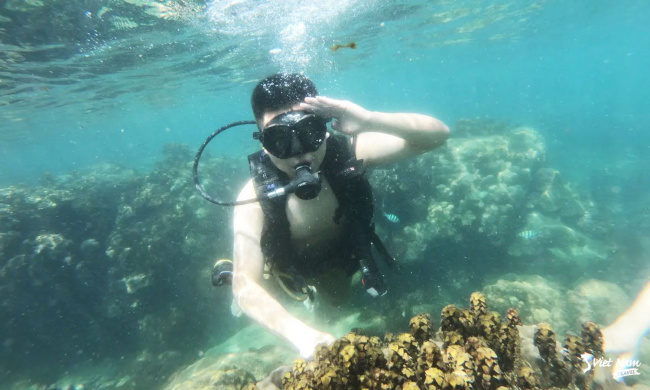 kinh nghiệm lặn ngắm san hô phú quốc từ a – z