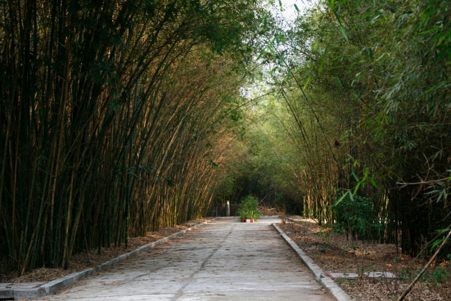 5 địa điểm cắm trại bình dương đẹp quên sầu cho nhóm bạn