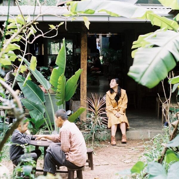 4 quán cafe chill ở đà lạt biệt lập giữa rừng thông