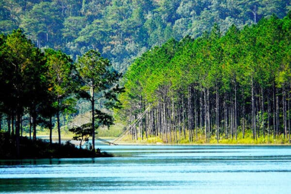 Hồ Tuyền Lâm: Một mảnh tâm hồn của Đà Lạt