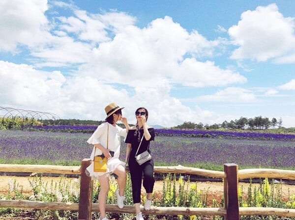 đường đến 2 cánh đồng hoa lavender đà lạt mới, view siêu đẹp