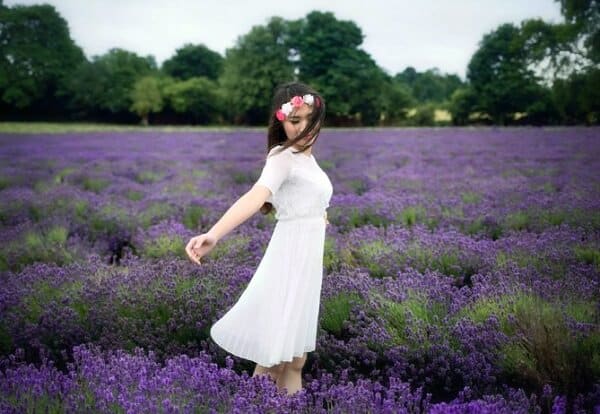 đường đến 2 cánh đồng hoa lavender đà lạt mới, view siêu đẹp