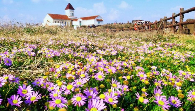 Đảo Jeju – Những địa điểm nhất định bạn phải ghé thăm