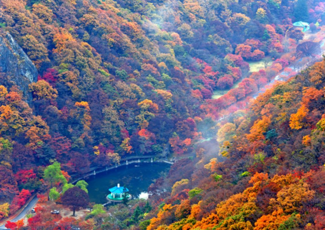 Du lịch Hàn Quốc mùa thu và những điểm đến hấp dẫn