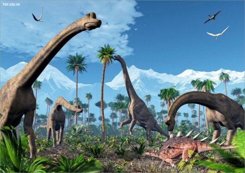 11 thông tin thú vị nhất về loài khủng long cổ dài