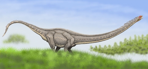 11 thông tin thú vị nhất về loài khủng long cổ dài