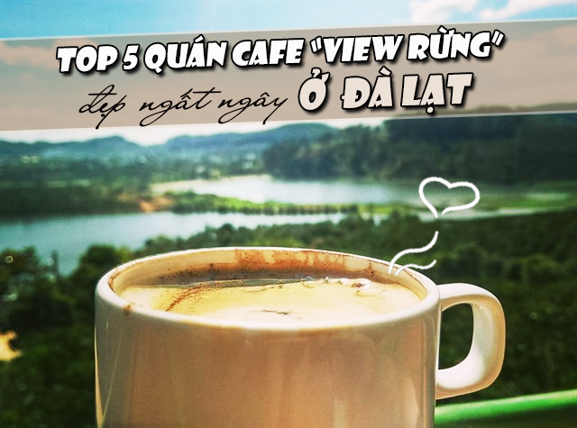 đột nhập 5 quán cafe view rừng đẹp hớp hồn tại đà lạt