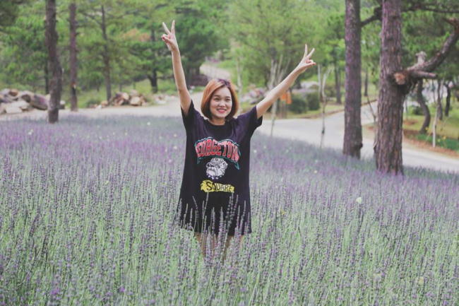 xuất hiện cánh đồng hoa lavender đà lạt đẹp mê hồn khiến giới trẻ liêu xiêu