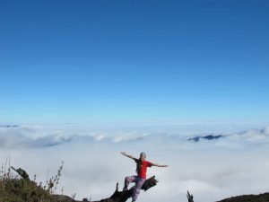 Kinh nghiệm và hành trình săn mây Tà Xùa cho phượt thủ mê trải nghiệm