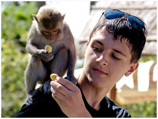 đến thăm “hoa quả sơn” thu nhỏ tại đảo khỉ nha trang