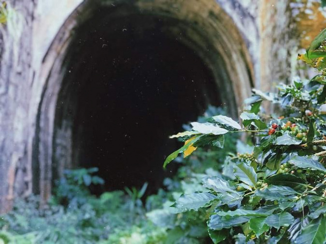 Đường hầm Hoả Xa – thánh địa sống ảo tại Đà Lạt