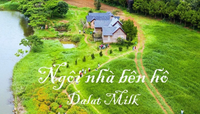dalat milk farm – hà lan vạn người mê tại đà lạt