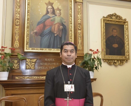 amazon,  21 hồng y mới được đức thánh cha phanxico bổ nhiệm
