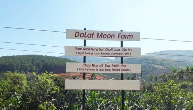 đà lạt moon farm- nông trại miền tây giữa lòng đà lạt