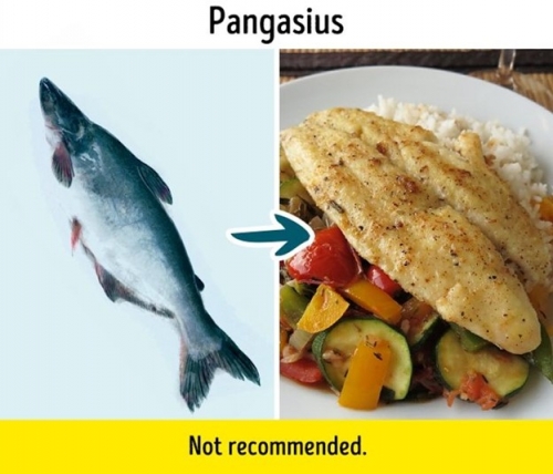 9 loại cá bạn không nên ăn nhiều
