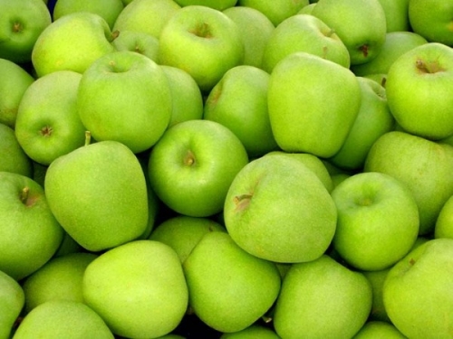 10 bài văn tả cây táo (lớp 4) hay nhất