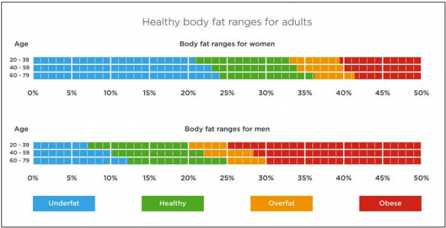 Tác động của chỉ số khối lượng mỡ trong cơ thể đến sức khỏe của mỗi người
