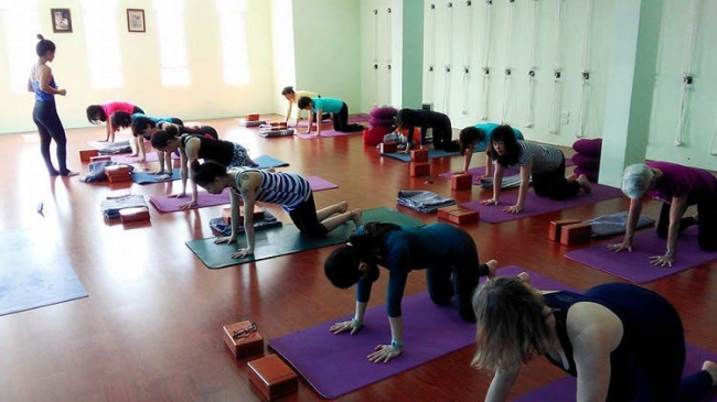5 câu hỏi thường gặp của người mới tập iyengar yoga